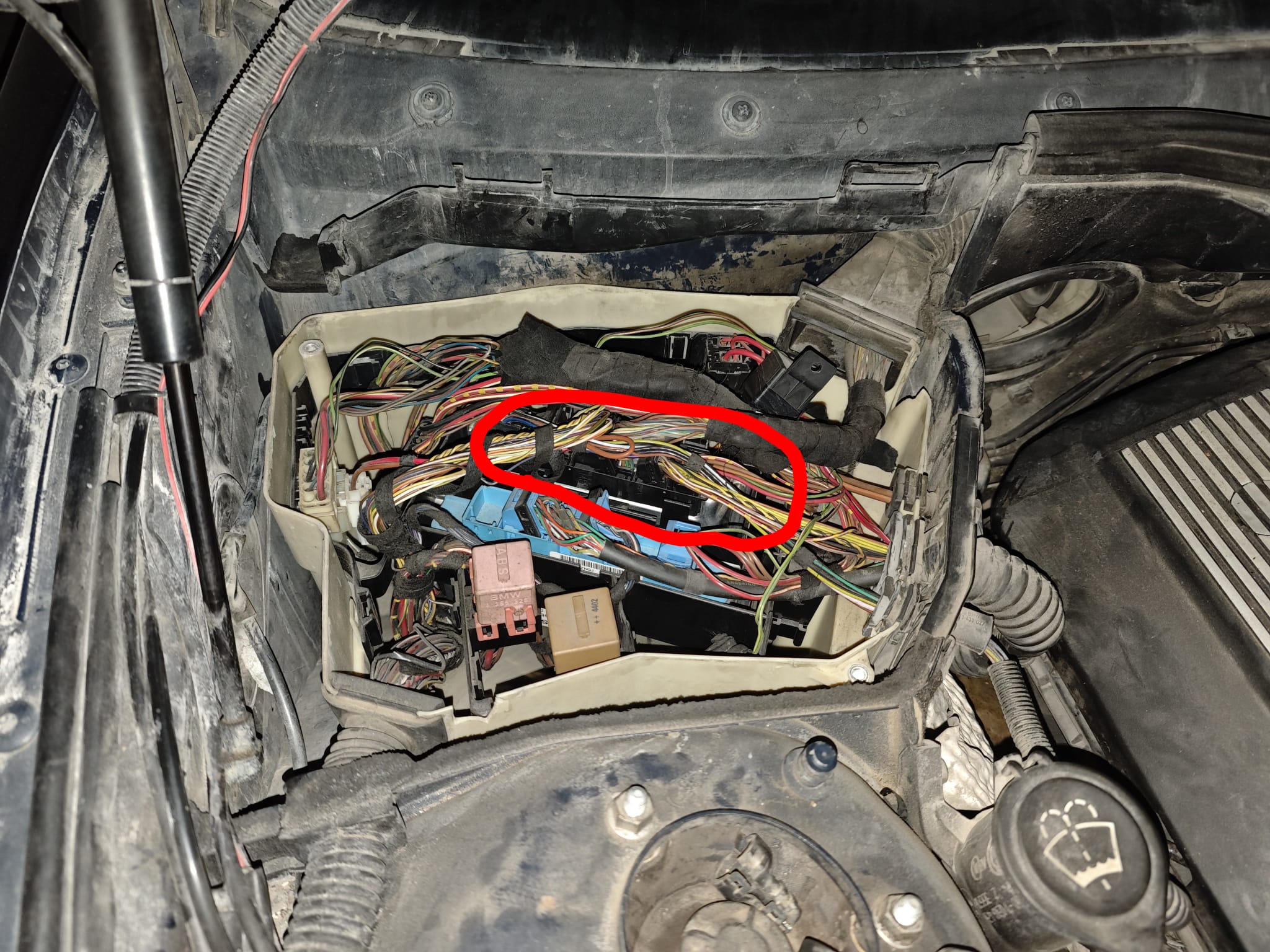 Motor kontrol birimi